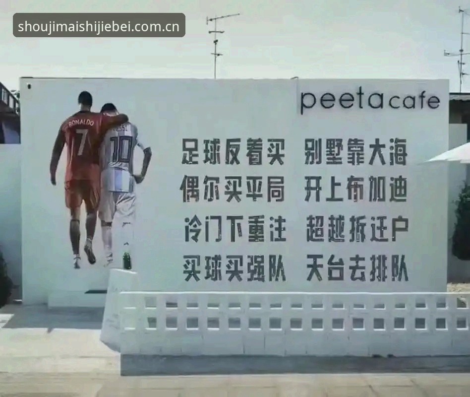 手机买球网深度评测：2025世界杯购票步骤全体验报告